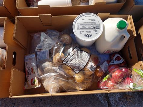 usda farmers food box